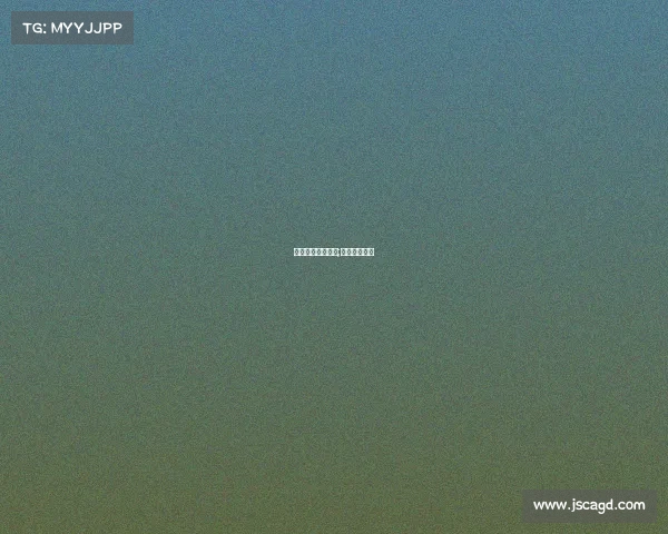 赛事赞助会议纪要;赛事赞助方案